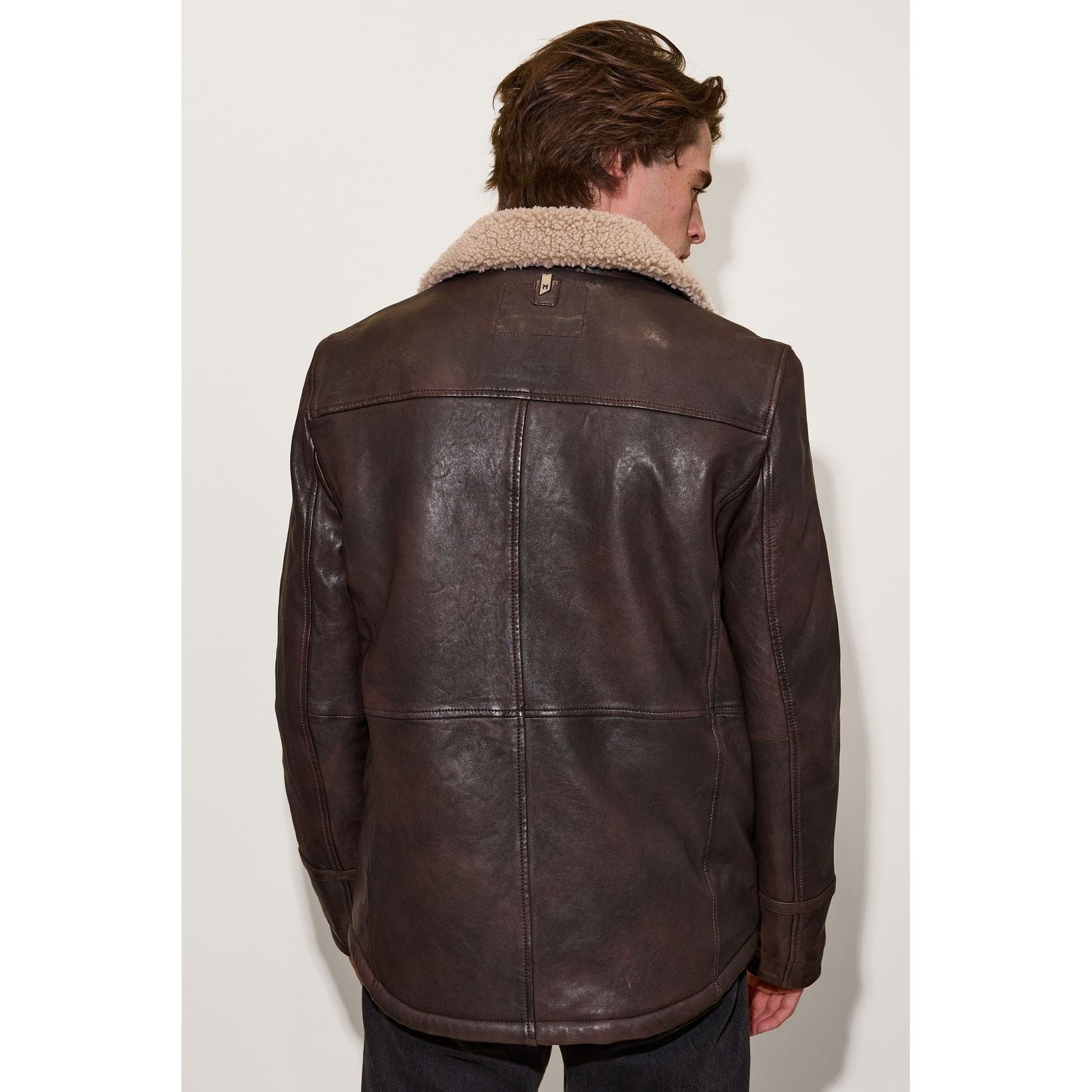 Mauritius UF Shearling Jacket in dark brown leather with a cream teddy collar, back view.