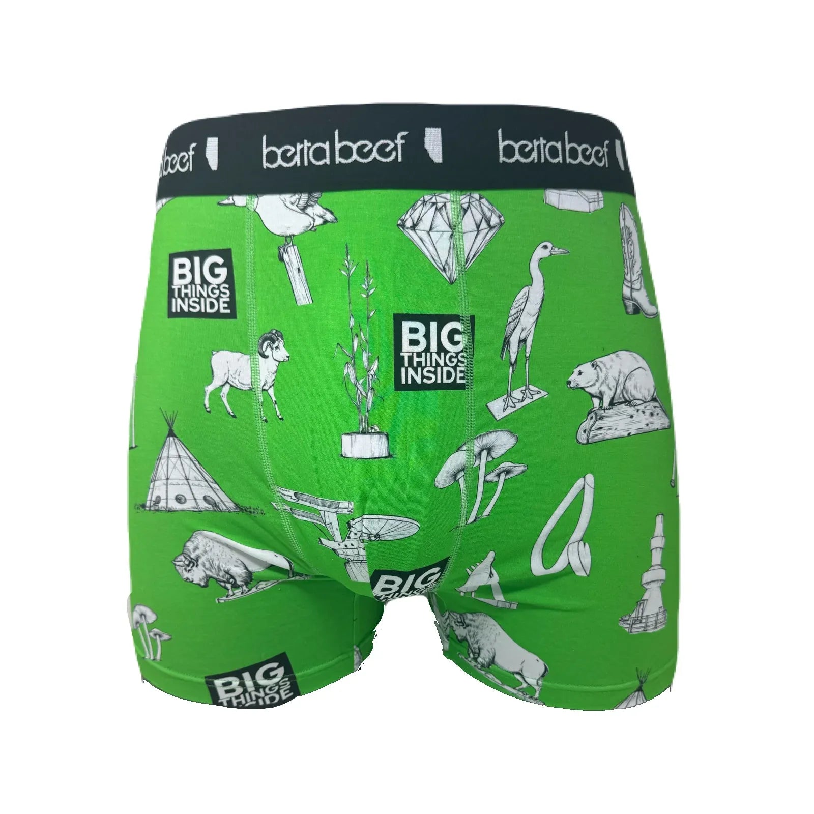 Berta Beef Big Things Green Boxer Briefs with black waistband and white "Big Things Inside" illustrations.