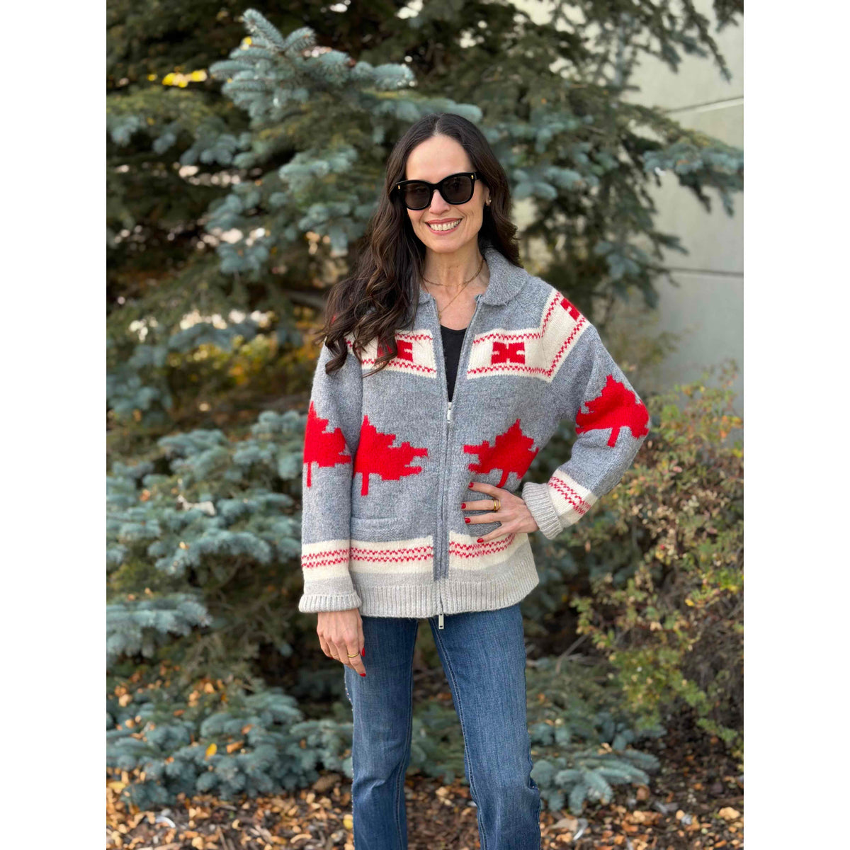Daria Raglan Shawl Collar Sweater