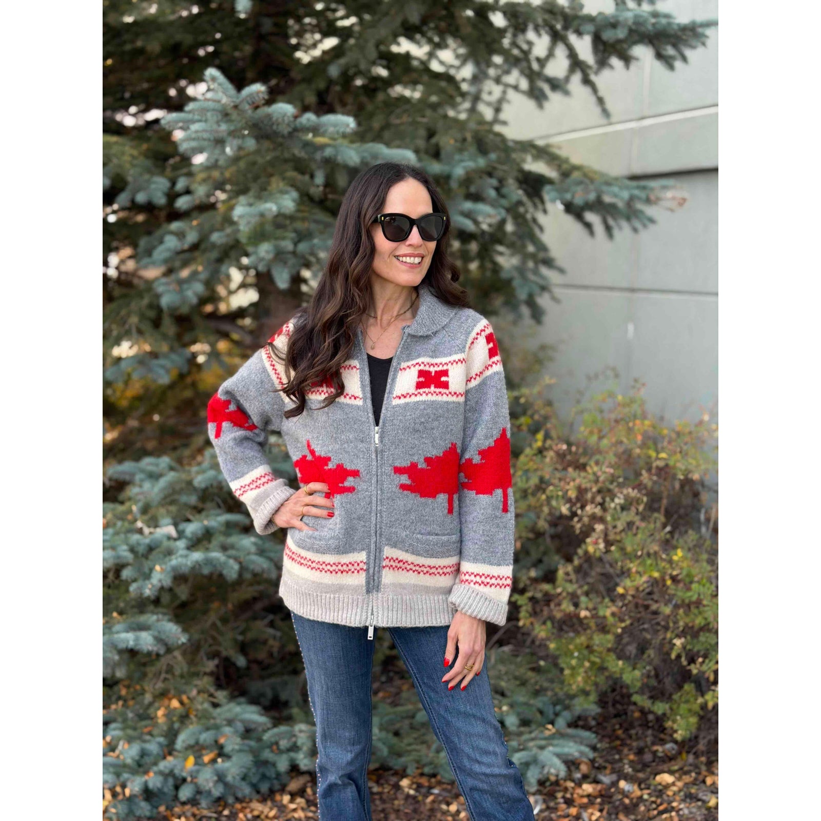 Daria Raglan Shawl Collar Sweater