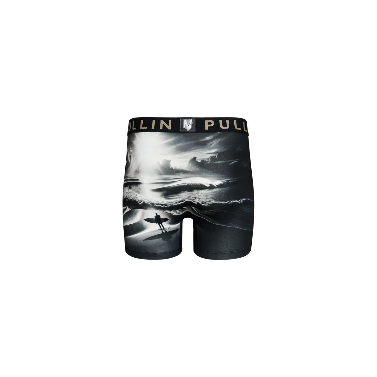 Pullin Fashion 2 Ripsurf Brief with black-and-white surf print, 40mm jacquard waistband, back label.