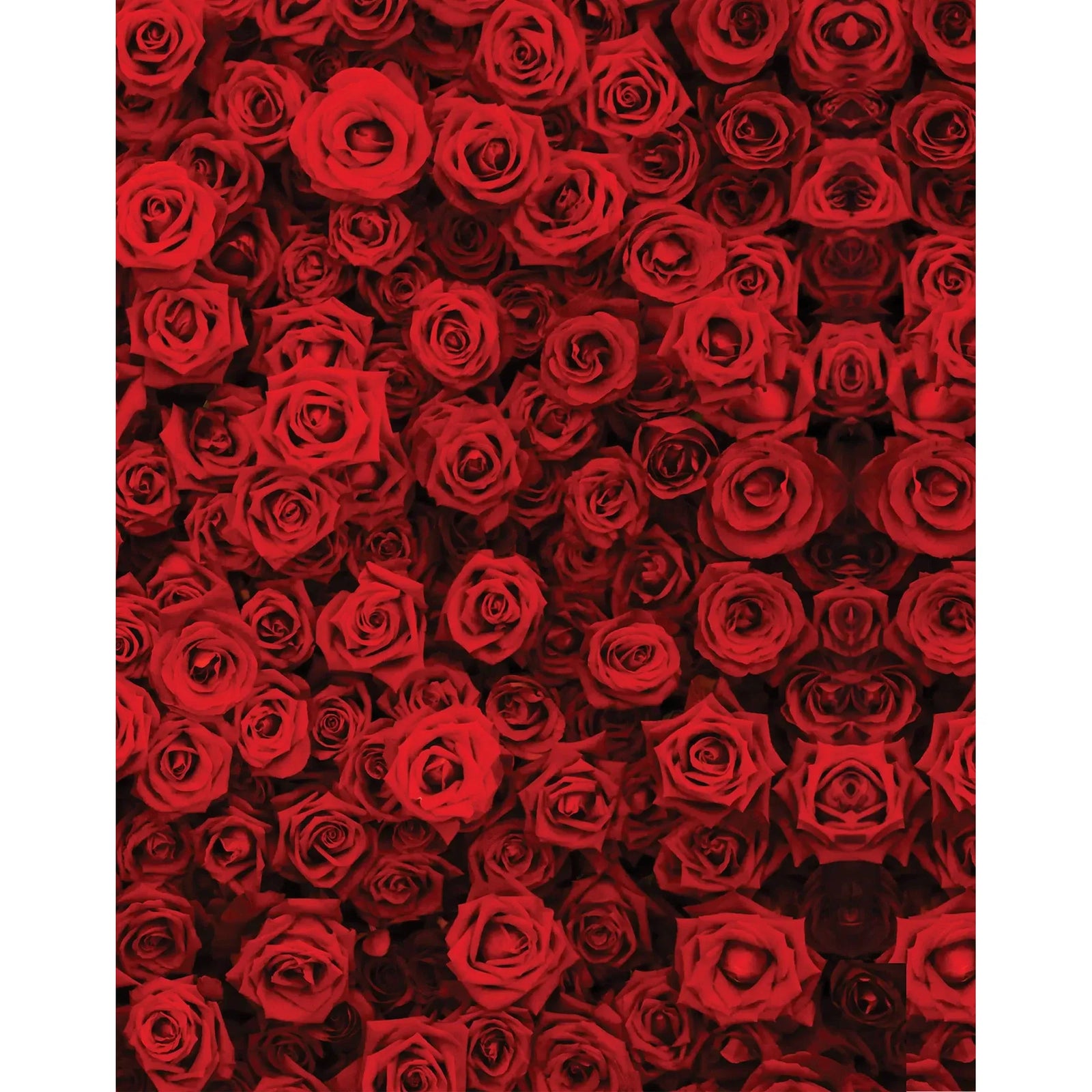 Pullin Master Amour boxer brief in red rose print with black 40mm jacquard waistband