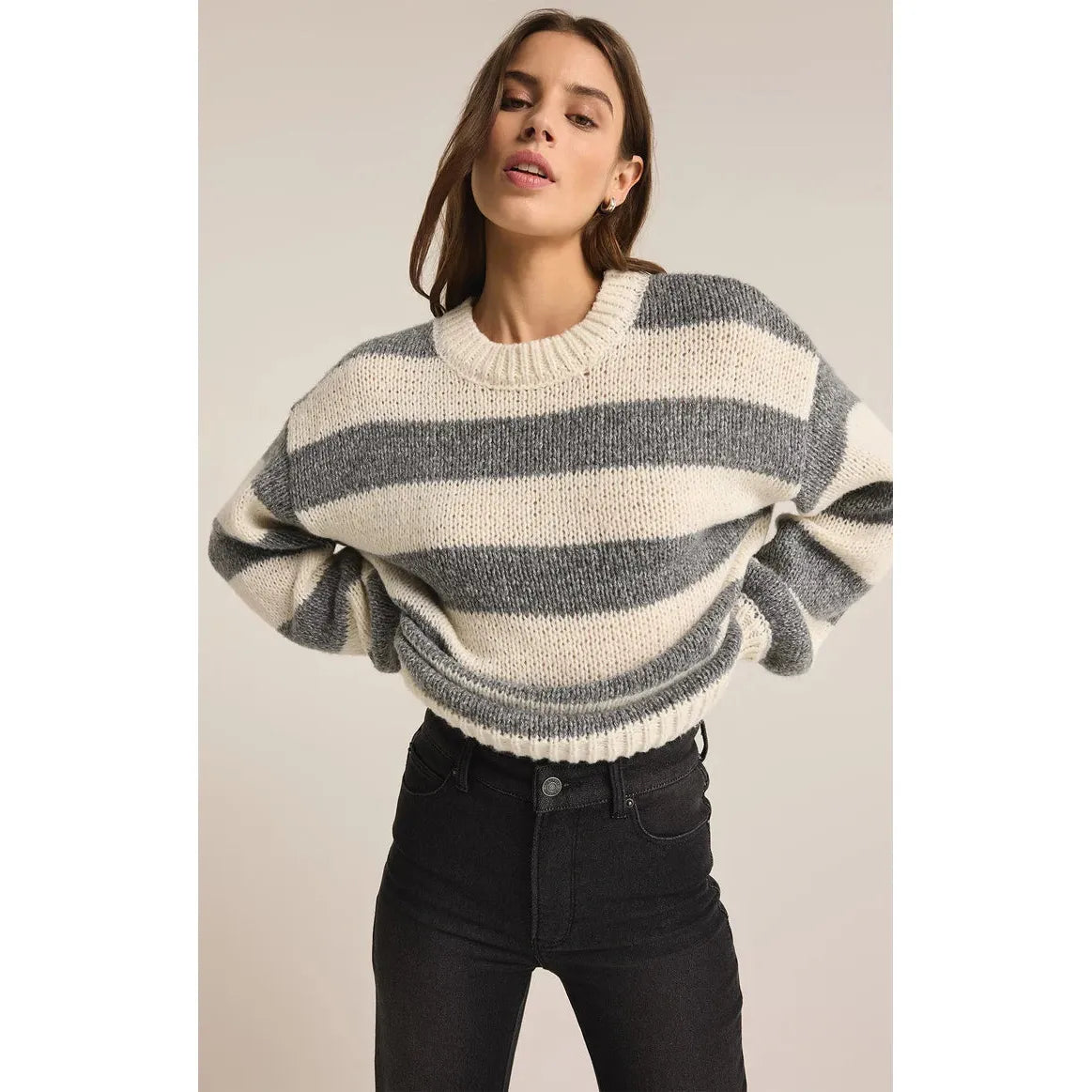 Z Supply Anders Stripe Crew Neck Sweater